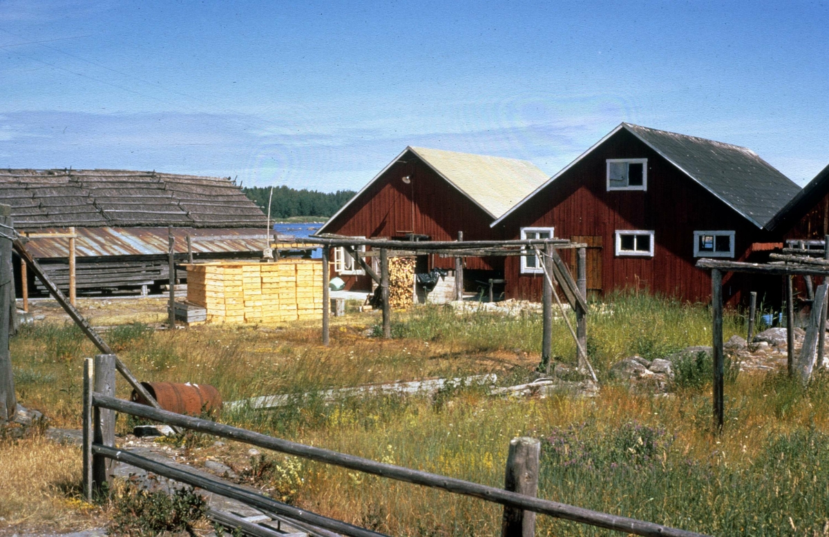 Sjöbodar, Fågelsundets fiskeläge, Hållnäs socken, Uppland 1971