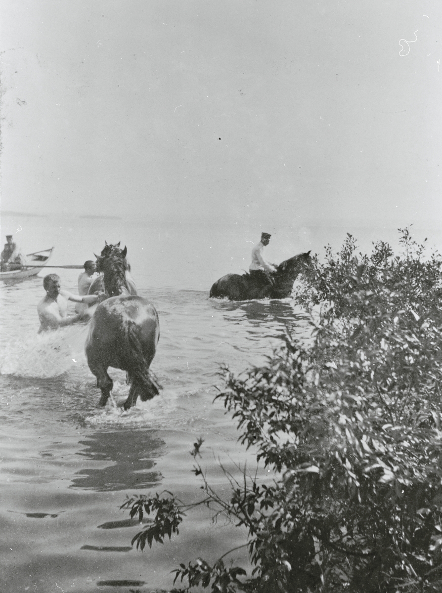 Menn og hester bader, Starum 1905