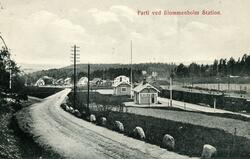 Persontog på Blommenholm stasjon