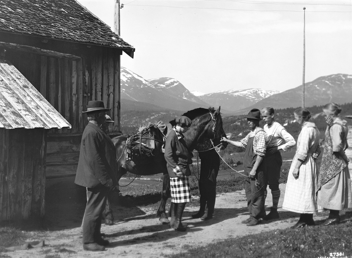 Bjorli, Sigurd T. (1890 - 1979)