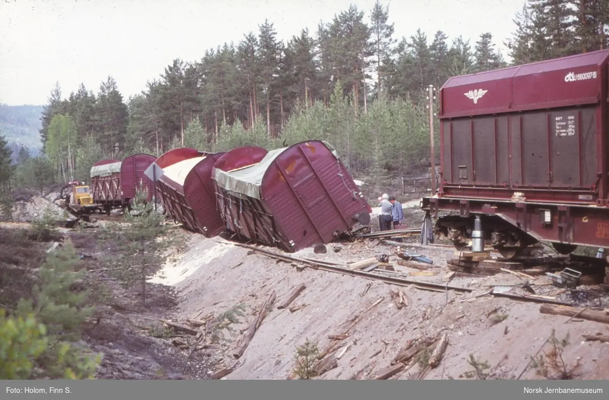 Avsporede godsvogner lastet med flis i nærheten av Pikerfoss holdeplass på Numedalsbanen