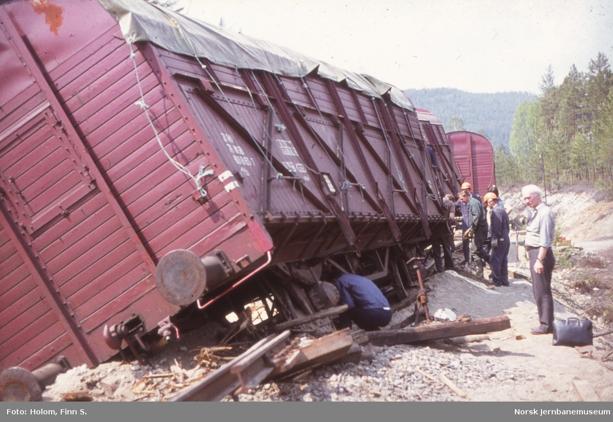 Avsporede godsvogner lastet med flis i nærheten av Pikerfoss holdeplass på Numedalsbanen