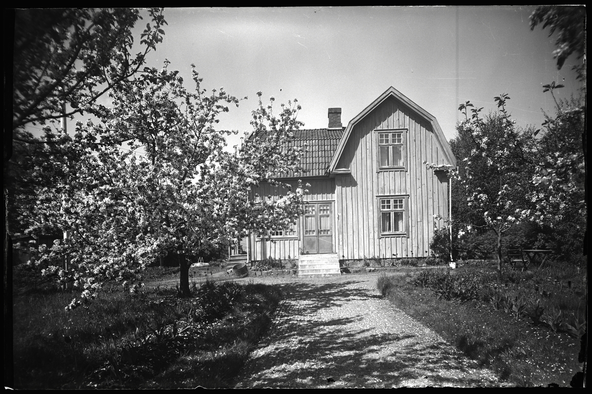 ster-s-i-grank-rr-g-tlunda-v-sterg-tlands-museum-digitaltmuseum