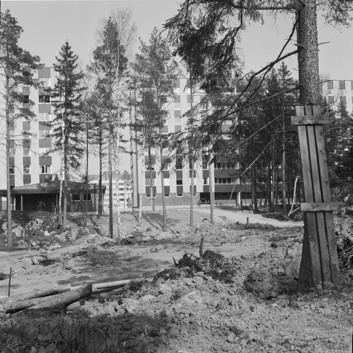 Markplanering vid bostadsområde, Uppsala 1972