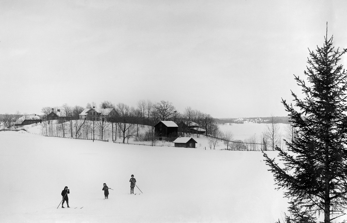 Bröderna Hallin åker skidor i snön. I bakgrunden skymtar hemmet Ramsdal beläget i Sankt Anna socken.