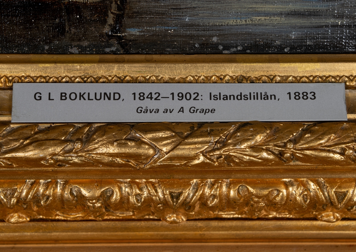 Parti av Islandslillån, från 1883.
