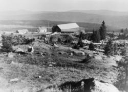 feriehjem, Det Norske Postmannslag, Hugulia feriested, ekste