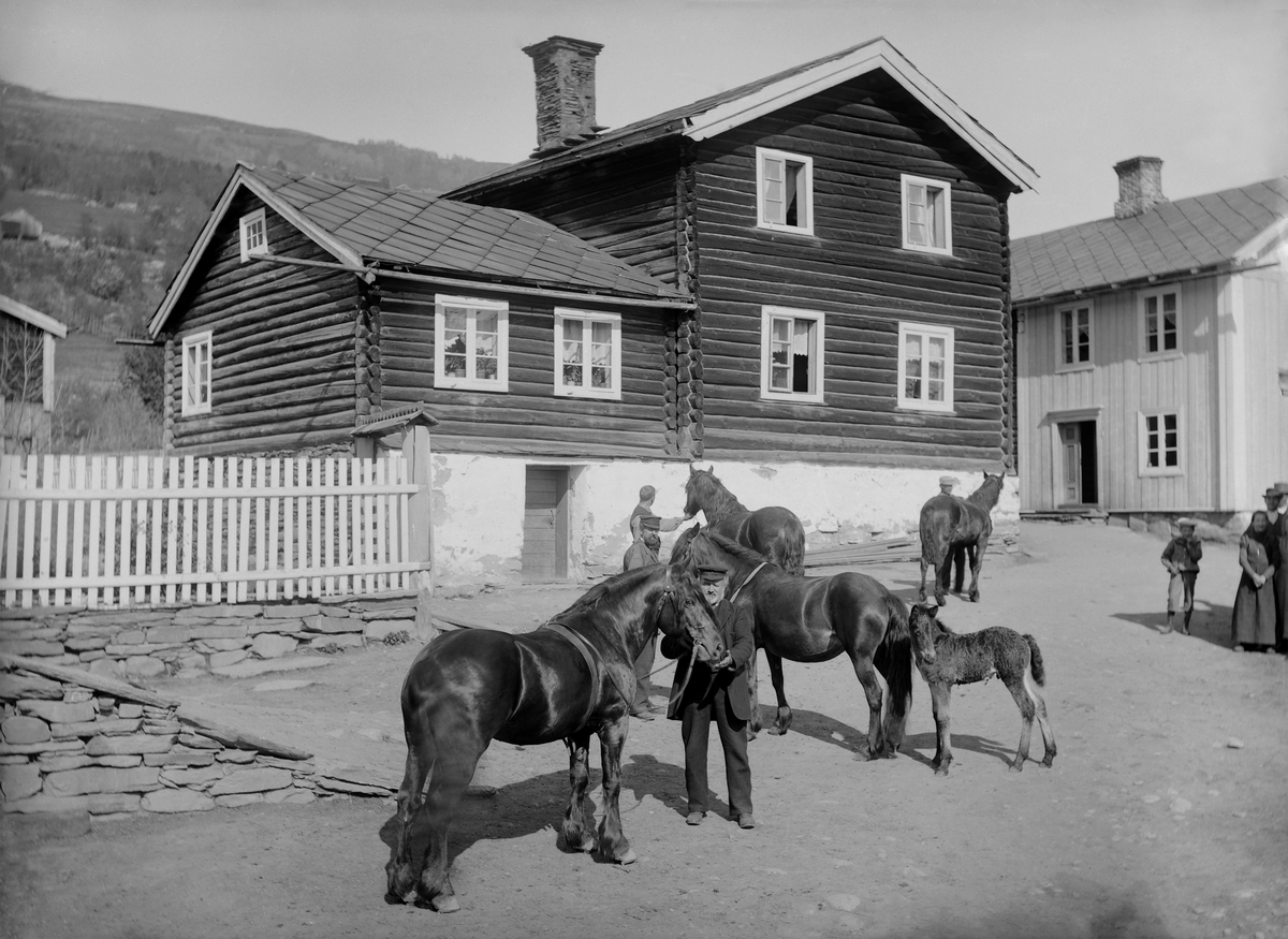 Kort: S. Fron. Listad. 27/5.1901. Redvald Listad`s hestegruppe. Menn med hester, føll, kvinner barn, bolighus