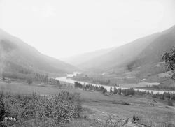 Utsigt mot syd med nedre Bilben.              12/6-13. Kort 