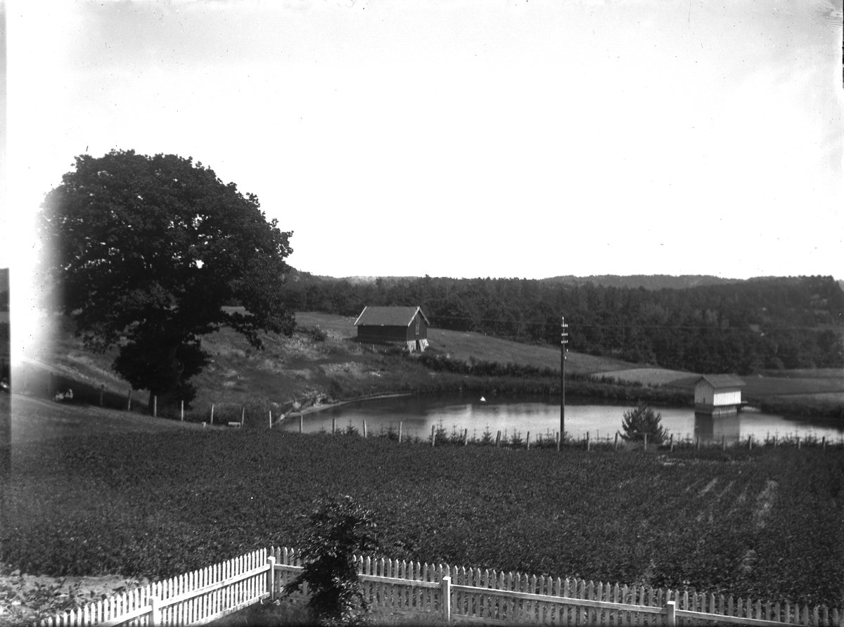 Dømmesmoen
Oversikt sydover mot dammen ved den store Eika. (Fra ca. år 1100)