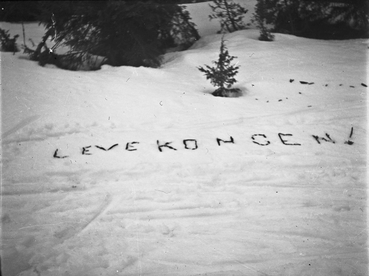 "Leve kongen" skrevet i snøen. 