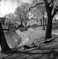 I sola ved Akerselva,.mai 1954