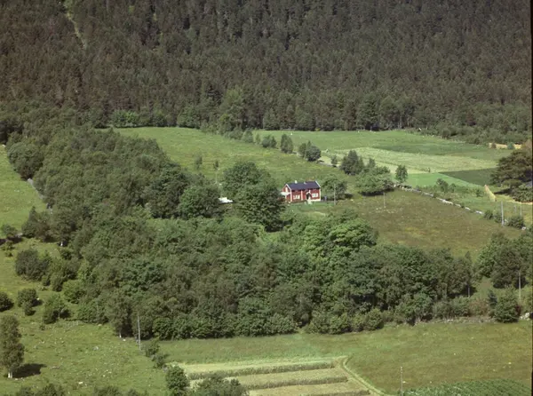 Vestnes (Leirvika), Gnr. 51..Ein Husmannsplass ("Andersplassen I ...