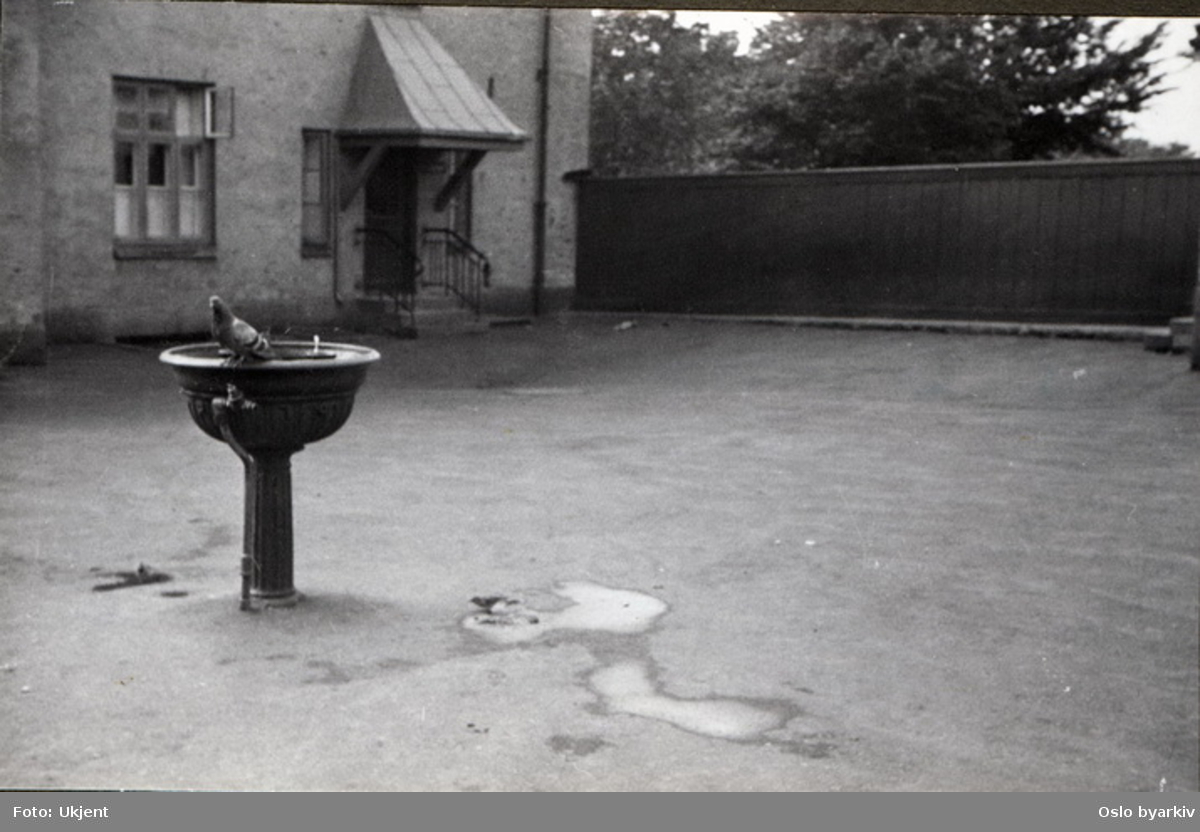 Due i skolens "drikkevannsfontene" i skolegården. Albumtittel: "Sofienberg skole femti år - første september 1933."