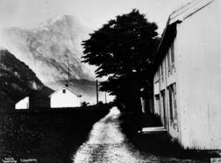 Austigard og Eikesdal skole.Fotograf Wilse har kalla dette b