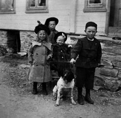 Barn leikar med hund..