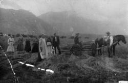 Haustonn på Stavgarden på Nauste.