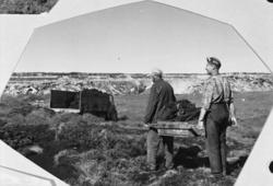 "Sivert Nerbø, Torvespaing"