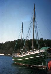 "Ula" ved Hjertøya januar 1986.