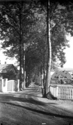 Gørvellalleen sett fra Parkvegen.
