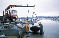 Trerøring fra ytre Årset, Langfjorden. 1/10-1992. (se Bjørn 