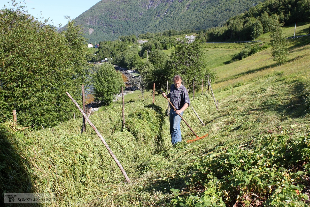 (Bilde tatt sommeren 2010).(Se Romsdal Sogelag 2010 side 63)