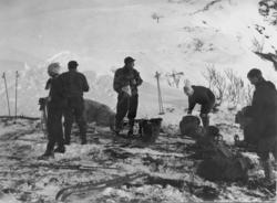 Saueberging i Vistdal februar 1966.