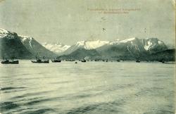 Fra Kroningsreisen i 1906..Fikerflåten leder kongeskipet ut 