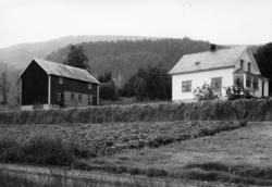 Nr.124. Olav Ranvik. .(Bilder brukt i "Gards- og ættesoge fo