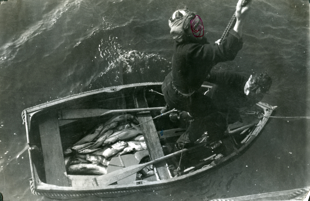 Album Glaisdale
H.Nor.M.S. "Glaisdale". Fotograf: Ltn. Holter.
Etter dypvannsladnings øvelse. Eksplosjonen brakte en del fisk til overflaten.