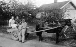 Hest med stuttkjerre og store gummihjul. Leonard Maurud skal