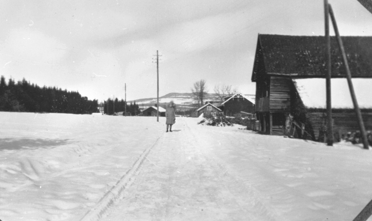 Dame spaserer langs Stafsbergvegen ved Stafsberg gård, Furnes. Vinter.