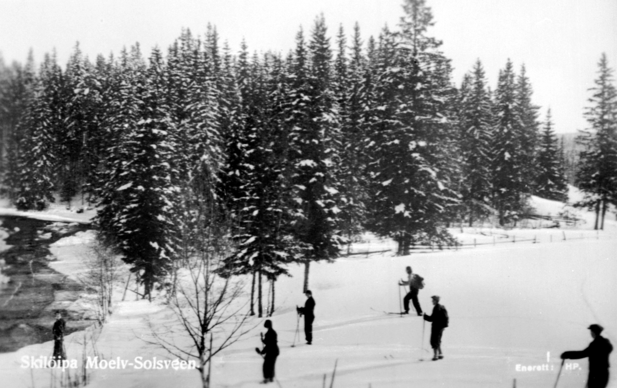 Gruppe skiløpere i vinterlandskap, løype Moelv-Solsveen, Ringsaker.