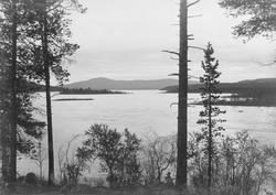 Vaggetem i Pasvikdalen, den neststørste innsjøen i Pasvikelv