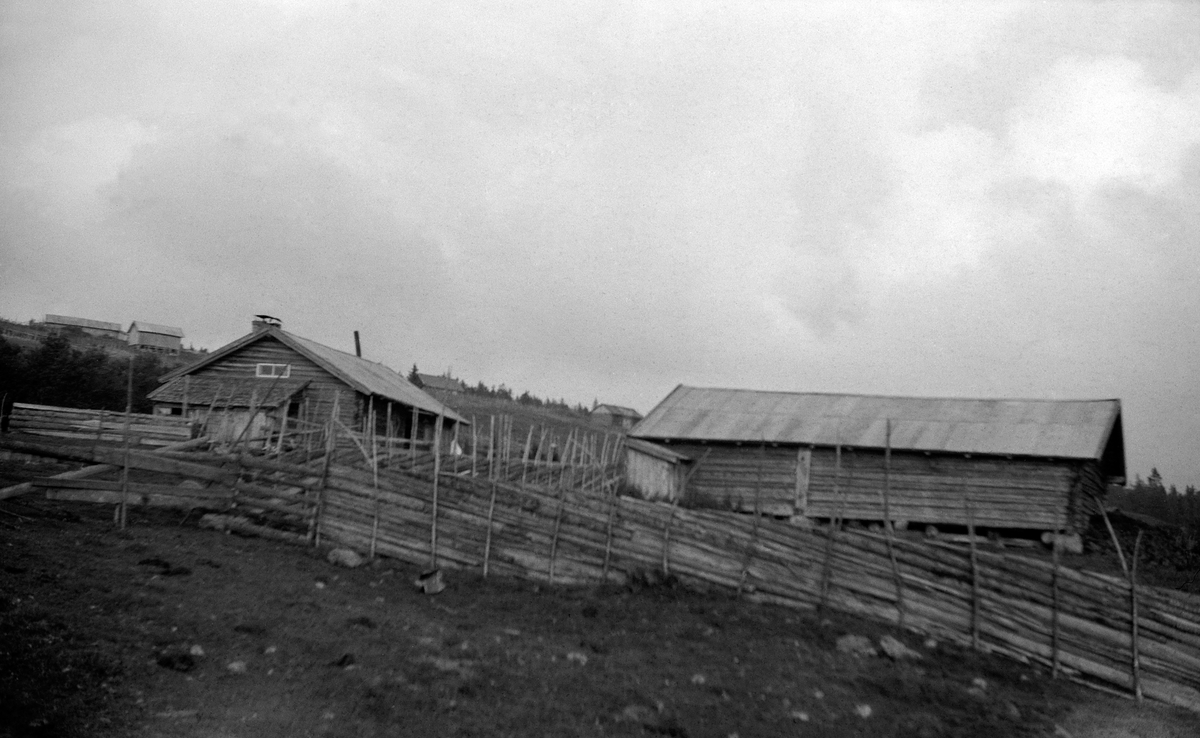 MÅLLIA, STOR-KVESTADHUSA, STORKVESTADHUSA, LØTEN, 1946. Seter. 