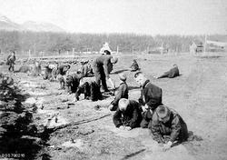 "Lakselv internat i Kistrand.  Træplantning ved kirkesanger 