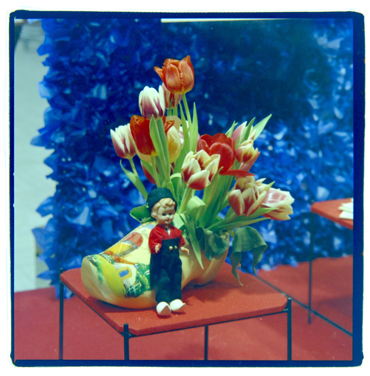 Utstillingsvindu med tulipaner hos Hoff & Kjeldsberg A/S