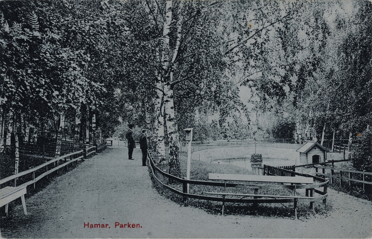 Postkort, Hamar Park, parkanlegg med andedam, 
