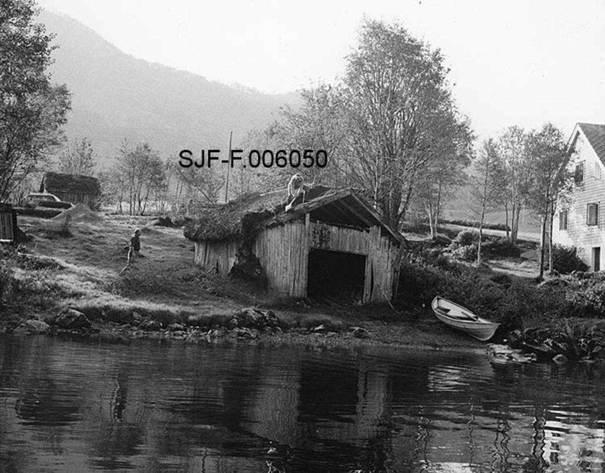 Naustet til Nikolai J. Gjesdal (1889-1973) ved Vassenden i Jølster i Sunnfjord i Sogn og Fjordane.  Fotografiet later til å være tatt fra en båt på Jølstervatnet (Jølstravatnet) inn mot land, der naustet lå med gavlen tre-fire meter fra stranda. Her ligger det en kvitmalt robåt, som antakelig hadde naustet som opplagssted.  Til høyre i bildet ses gavlen på et kvitmalt, halvannenetasjes våningshus.  Naustet er en umalt, bordkledd stavkonstruksjon med torvtekt sperretak.  Gavlveggen som vender mot fotografen er bordkledd opp til beiten, men åpen i røstet.  Da fotografiet ble tatt var en mann i ferd med å spa ned torva fra bygningens saltak.  En annen kar fulgte arbeidet fra en posisjon på bakken.  Fjerninga av torvtaket var første fase i et demonteringsarbeid.  Naustet skulle flyttes til Norsk Skogbruksmuseums friluftsmuseum på Prestøya i Elverum.  Dette prosjektet ble realisert i 1968. 

Jølsternaustet er 790 centimeter langt og 456 centimeter bredt og har følgelig ei grunnflate på 36 kvadratmeter.  På gavlen mot vassdraget er rafthøyden 217 og mønehøyden 365 centimeter.  På den bakre eller vestre gavlen er rafthøyden 125 og mønehøyden 258 centimeter. 