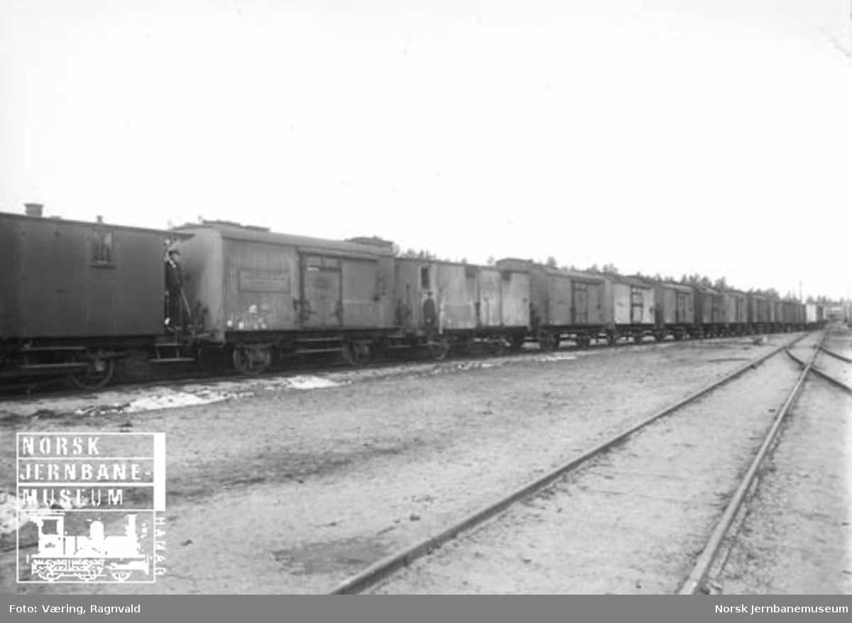 En lang rekke godsvogner, hovedsakelig kjølevogner, på en ukjent stasjon