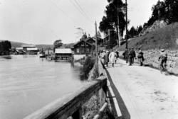 Stortingets jernbanekomité og fylkesmann H. Olsen på vei til