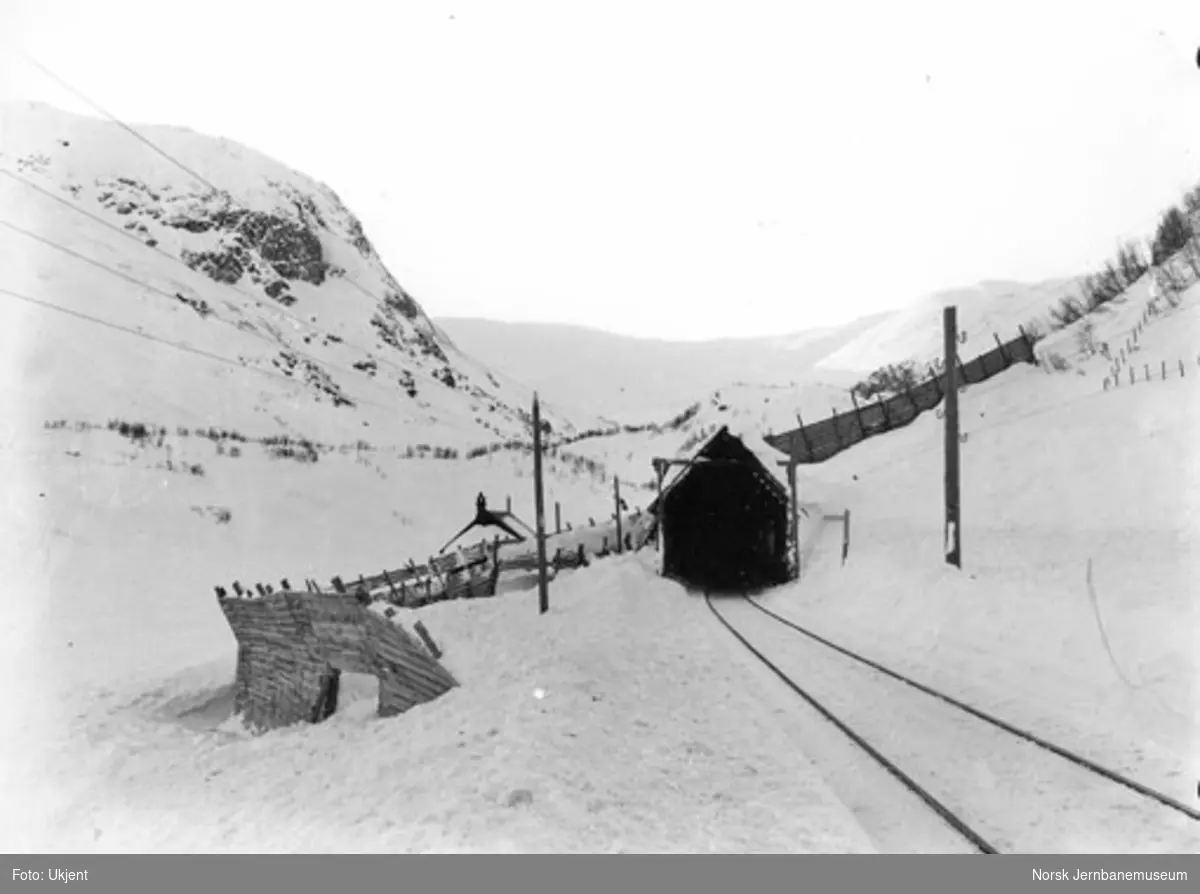 Linjeparti ved Langevassosen vokterbolig (pel 3980) med snøskjermer og snøoverbygg, sett vestover
