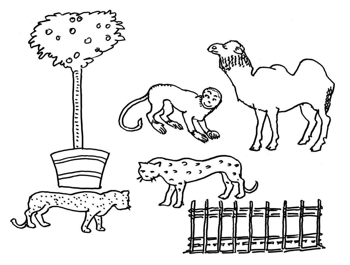 Lekedyr: kamel, apekatt, kattedyr m.m..