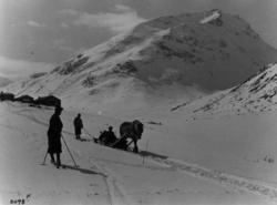 Skiløpere og hest med slede ved Spiterstulen og Visdalen i J
