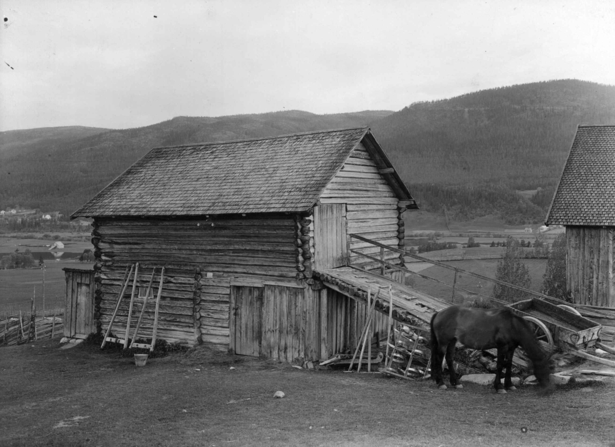 Søndre Bjøntegård, Øvre Rendal, Nord-Østerdal !920 årene. Stall med kjerre og beitene hest.