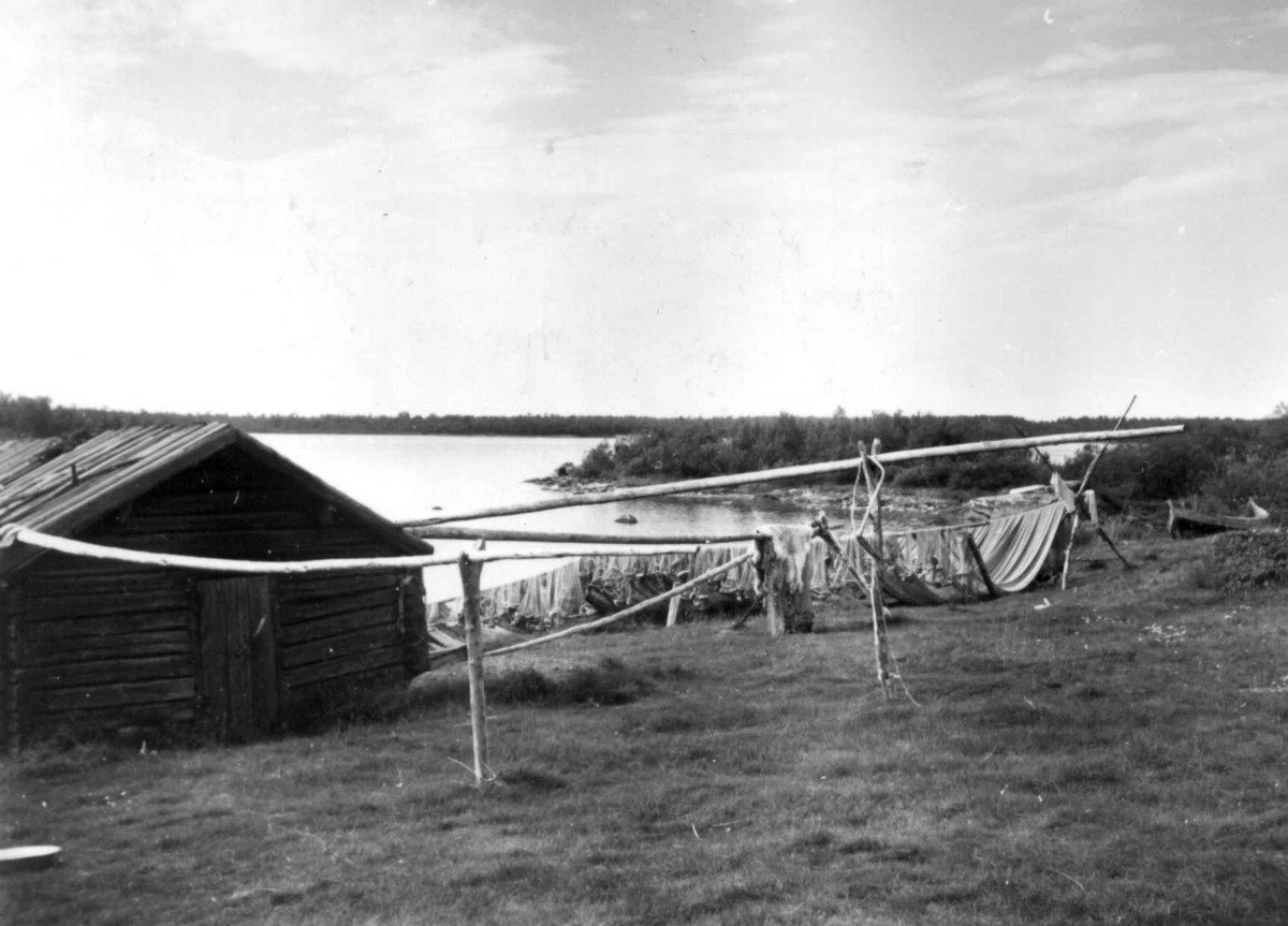 Fra Mántyla gård med fiskegarn og et uthus. Kauhalahti 1959.