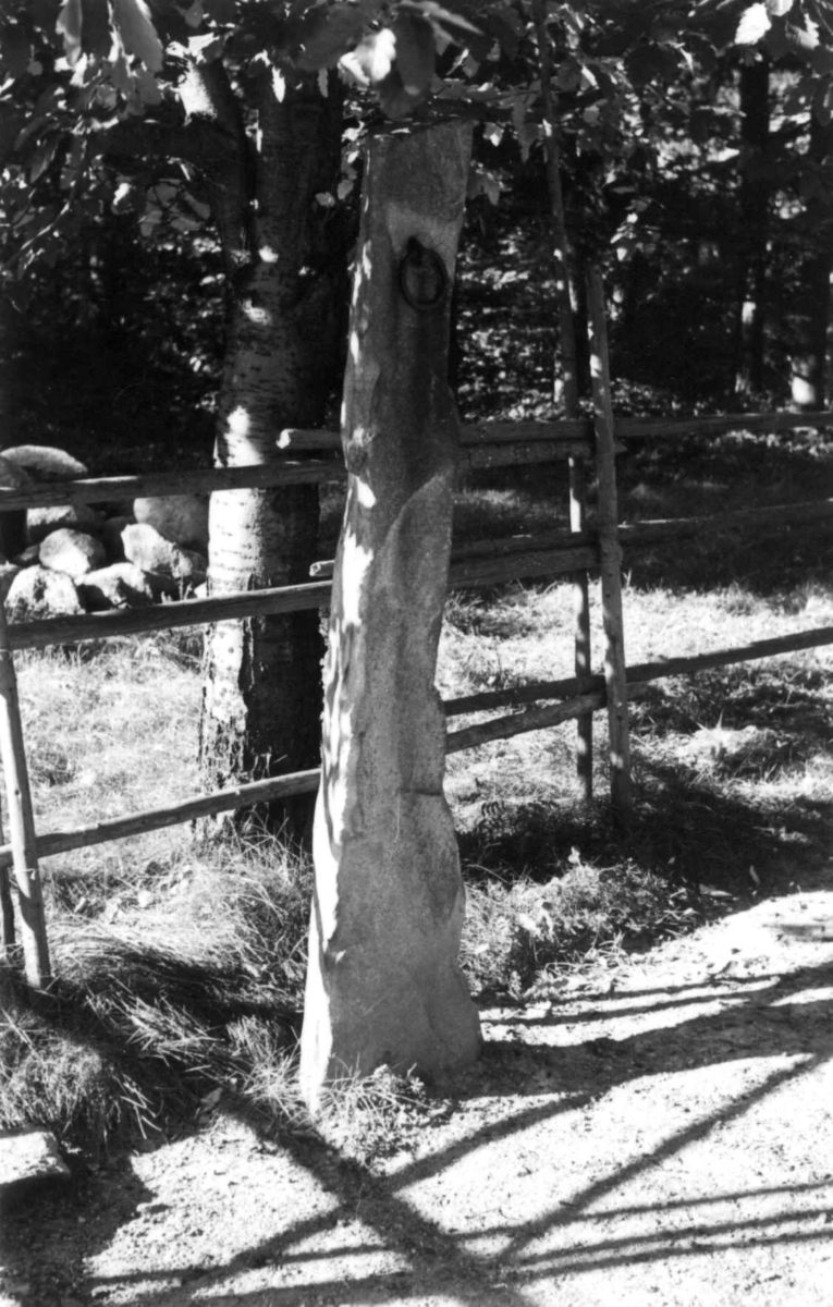 Fra Setesdalstunet på Norsk folkemuseum. Stein på tunet. Steinen har gått under navnet gapestokk, og er muligens til å binde hesten i. Fotografert av Unni Fürst 1960.