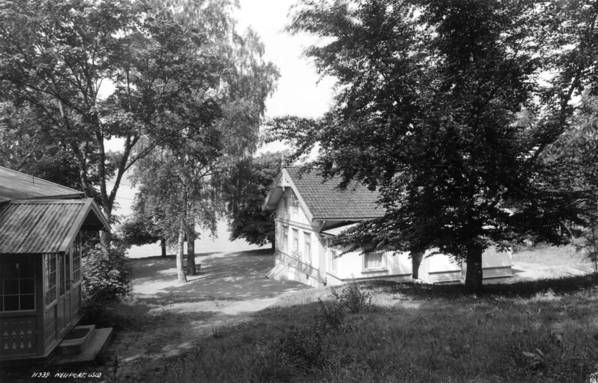 Roald Amundsens hjem, Svartskog. 1935. Hage. Omgitt av høye trær. Sjøen i bakgrunnen.