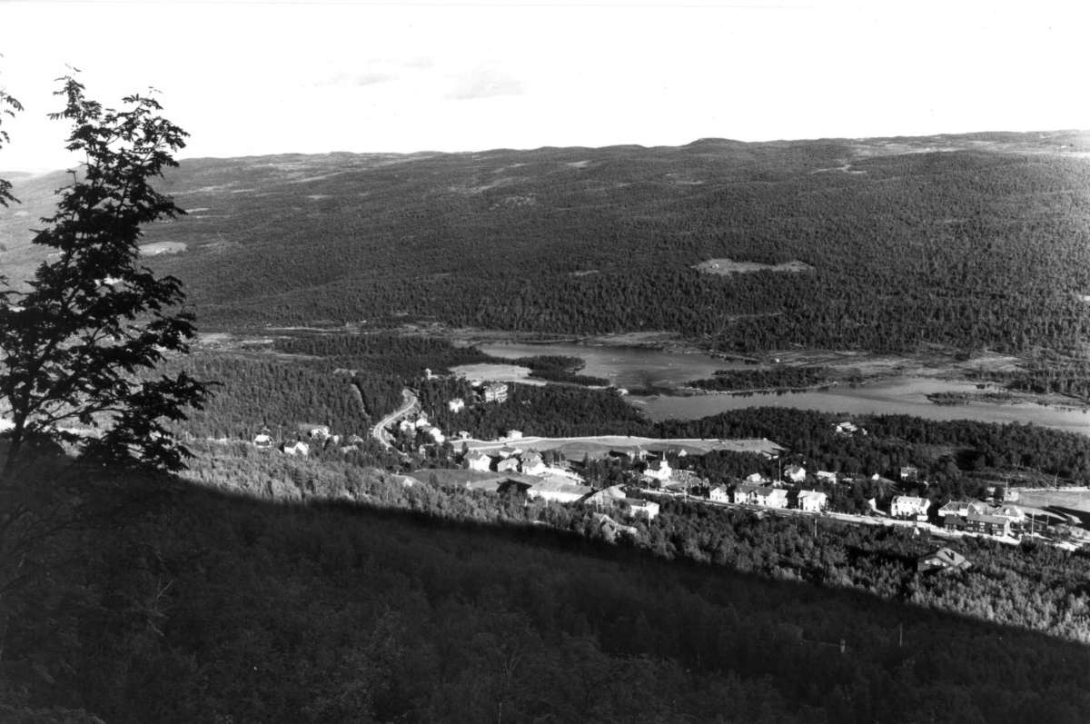 Geilo, Hallingdal. Oversiktsbilde av tettbebyggelse, skog, åser og fjell. Vann i dalbunnen.