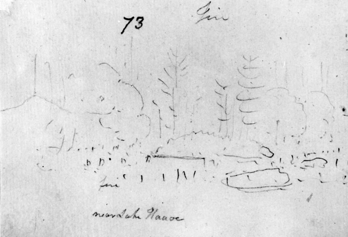 Håøya, Frogn, Akershus. Avfotografert blyantskisse av John Edy: Drawings Norway, 1800. Skissealbum utlånt av Deichmanske bibliotek.
